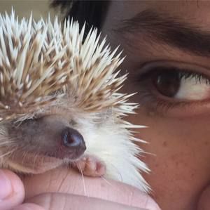 Meet your Posher, Abel